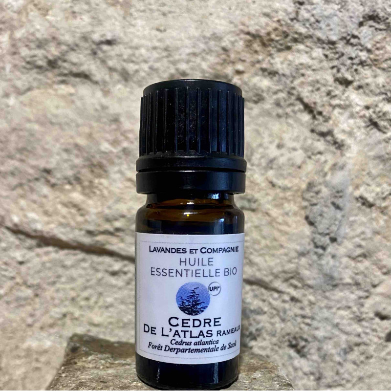 elfbar nachfüll pod läuft aus Tu sens ça ? 👀 C'est Musc & Cèdre qui débarque chez Smellingood ! Un  mélange frais, boisé et ultra élégant… impossible d'y résister. 🌲✨ 🍊Notes  de tête : Frais, agrumes, notes