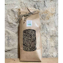 Thym à Thujanol Bio