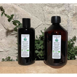 Hydrolat de Menthe Verte Bio